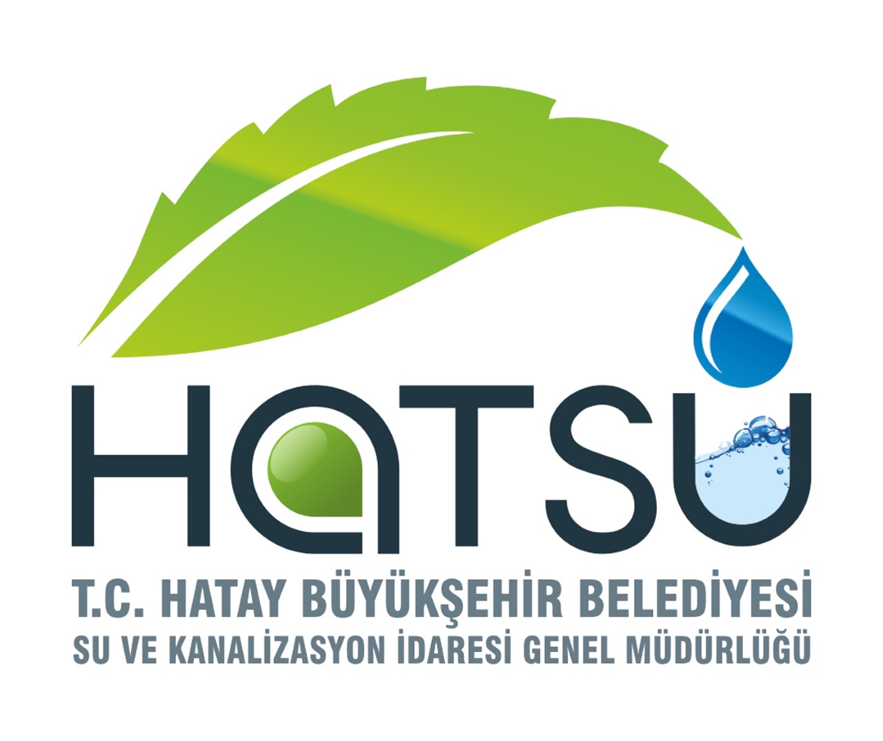 thumbnail_HATSU LOGO