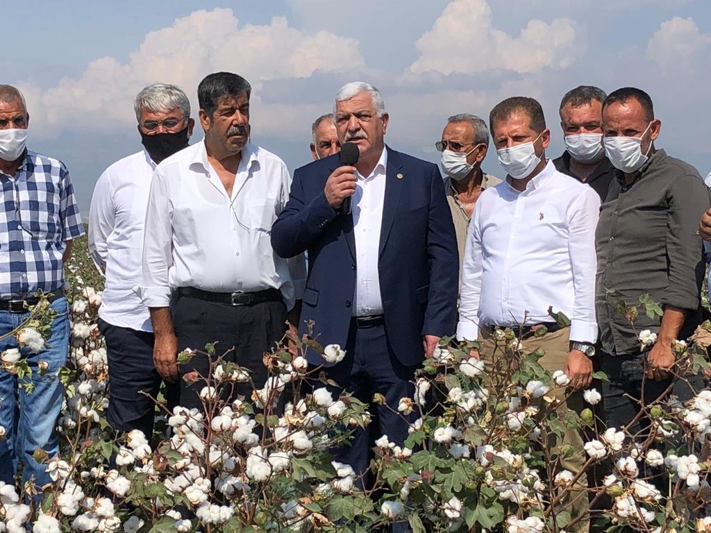 İSMET-TOKDEMİR-PAMUK-HASADI-FOTO3