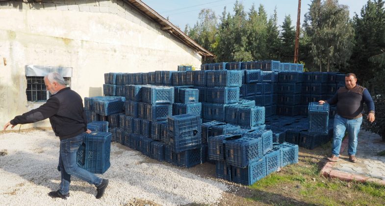 HBB’DEN ÜRETİCİYE ÜCRETSİZ ZEYTİN TOPLAMA KASASI (1)