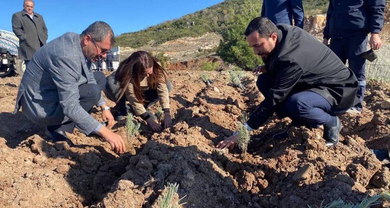YAYLADAĞI’NDA LAVANTA DİKİMİ YAPILDI (2)
