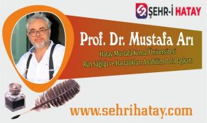 Prof.Dr.Mustafa Arı