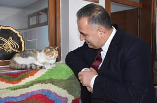 Screenshot-2022-10-04-at-11-52-42-Rifat-Sari-Siz-yerdekilere-merhamet-edin-ki-goktekiler-de-size