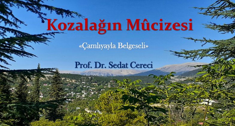 Kozalağın-Mûcizesi (1)