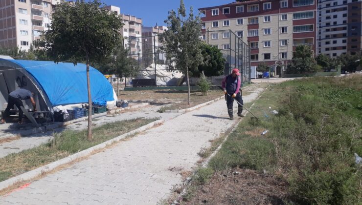 park-740x420