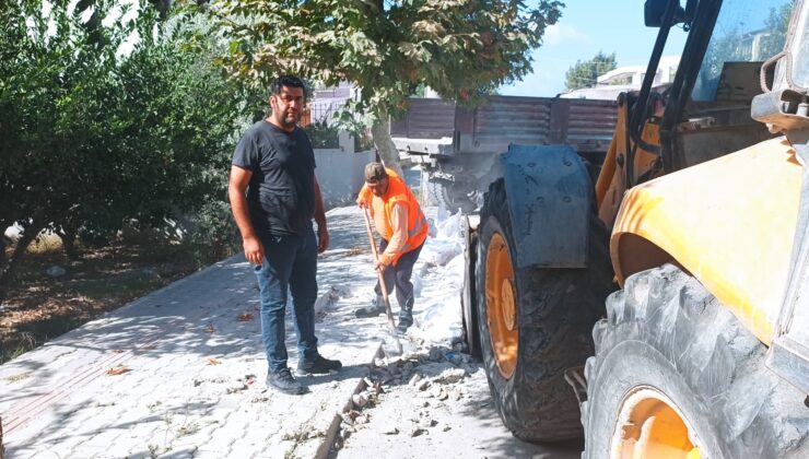 YENI-ATANAN-TEMIZLIK-ISLERI-MUDURUMUZ-GOREVE-HIZLI-VE-ETKILI-BASLADI-740x420