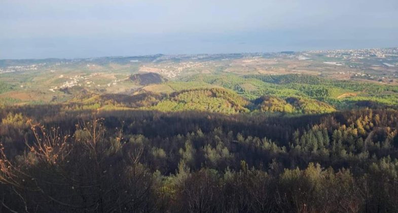 IMG-20241103-WA0001