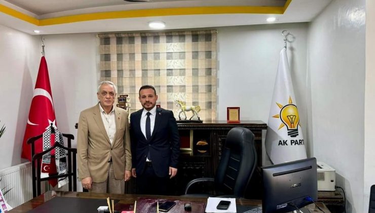 WhatsApp-Image-2024-12-09-at-21.44.11-740x420