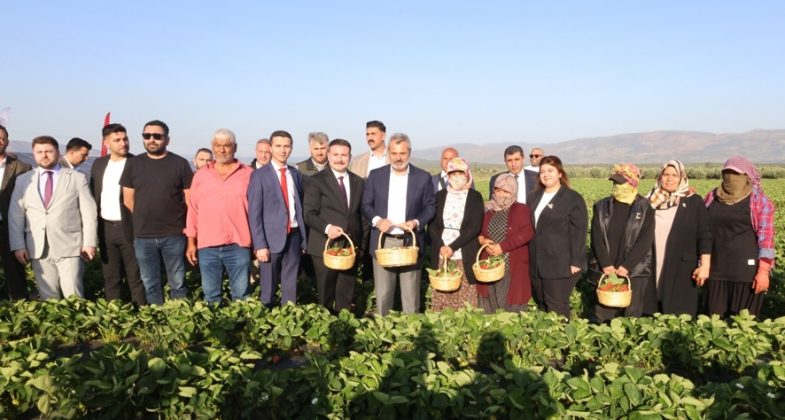 hbbnin-destekleri-ilk-meyvelerini-verdi