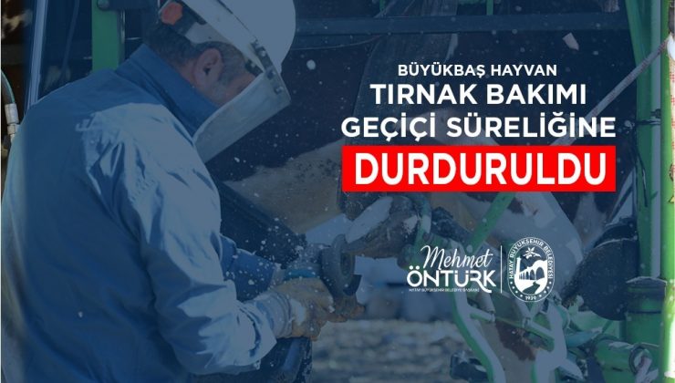 WhatsApp-Image-2025-07-17-at-15.10.02-740x420