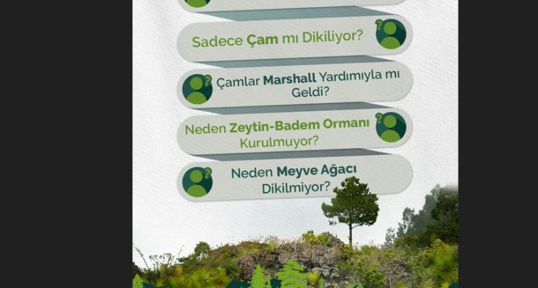 turkiye-ormanlari-cesitlilik-arz-ediyor