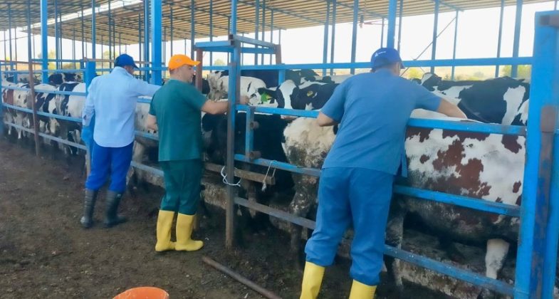 asilama-calismalari-devam-ediyor
