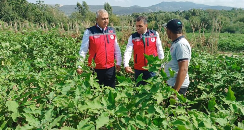 turkmen-ureticilerle-bilgi-alisverisinde-bulundu