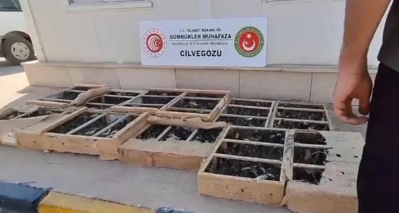 cilvegozunde-yasa-disi-hayvan-ticaretine-gecit-yok