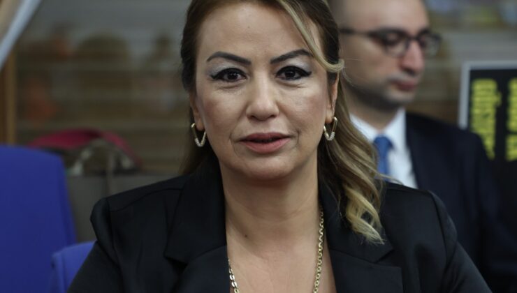 NERMIN-e1763054158481-740x420