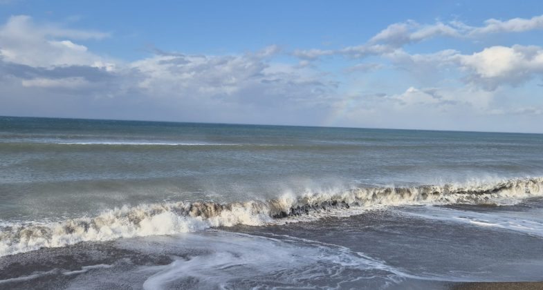 IMG-20260112-WA0005