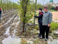 Tarım alanlarında hasar tespit çalışmaları