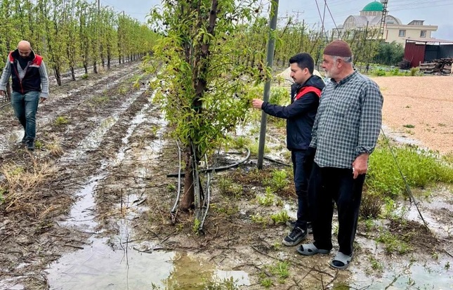 Tarım alanlarında hasar tespit çalışmaları