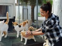 HBB Kedi Bakım ve Rehabilitasyon Merkezi Sokak Canlarına Umut Oluyor