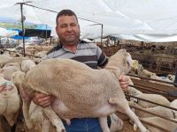 Kurban Pazarında Bayram Hareketliliği