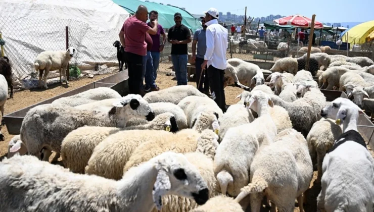 Kurbanlık Fiyatlarını, ‘Kurbanlık Fiyat Tespit Komisyonu’ Belirledi