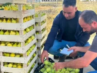 Hassa’nın Bereketi Aktepe’de Tezgâha İndi