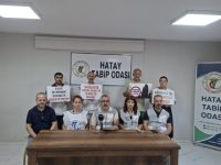 Sağlıkta Şiddete Tepki: “5 Dakikada Hekimlik Yapılamaz”
