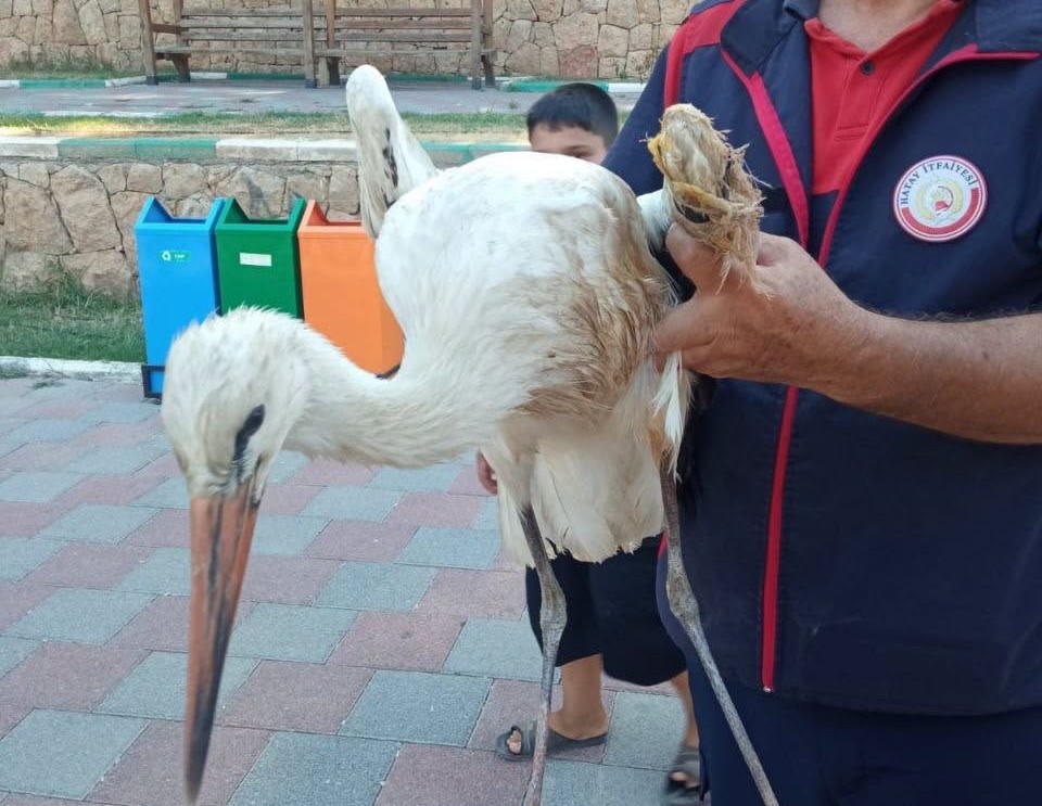 Hatay İtfaiyesi Yaralı Leyleğin İmdadına Yetişti