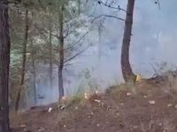 Yayladağı’nda Orman Yangını Korkuttu!