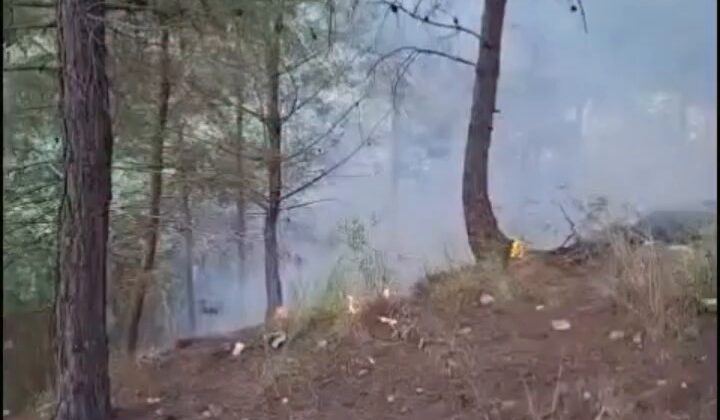 Yayladağı’nda Orman Yangını Korkuttu!