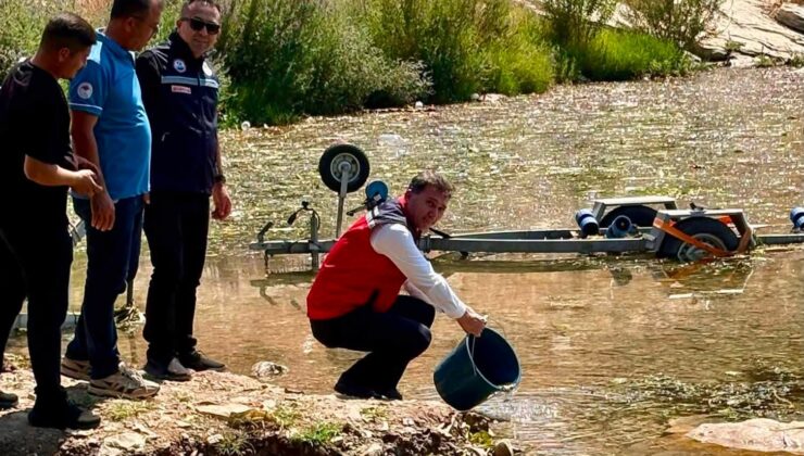 Hatay’daki Baraj ve Göletlere 682 Bin Sazan Yavrusu Bırakıldı