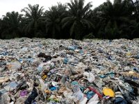 Doğu Akdeniz’den Ortak Çağrı: Plastik Atık İthalatı Yasaklansın!
