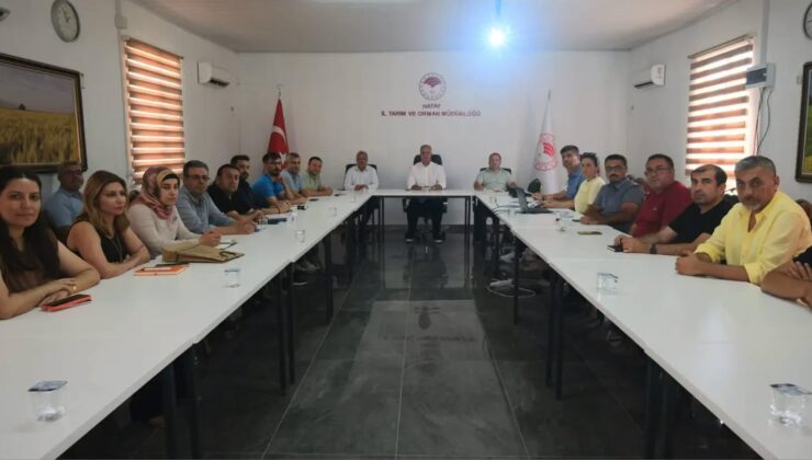 Hatay’da Bitki Sağlığı İçin 2027 Yol Haritası Belirlendi