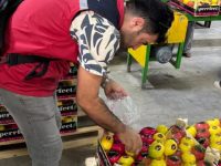 Hatay’da İhracatlık ‘Mayer Limonu’na Pestisit Denetimi!