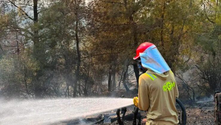 Kumluca ve Bozyazı’da Yangınlar Kontrol Altında, Kozan’da Mücadele Sürüyor