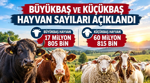 Büyükbaş ve Küçükbaş Hayvan Sayıları Açıklandı