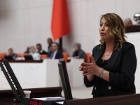 Kara: İskenderun’da Av Sezonu Bir Hafta Bile Sürmedi
