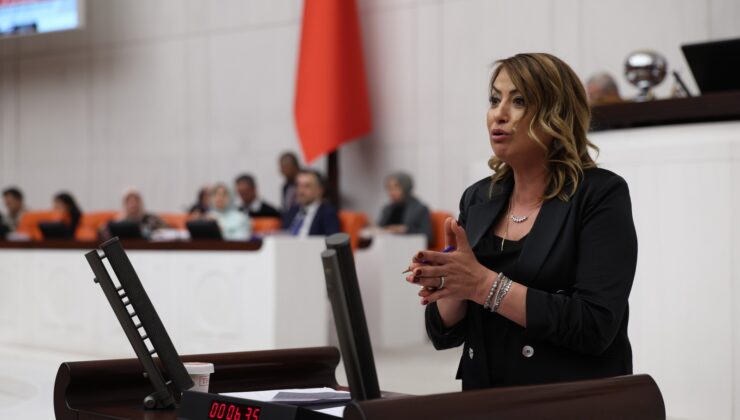 Kara: İskenderun’da Av Sezonu Bir Hafta Bile Sürmedi