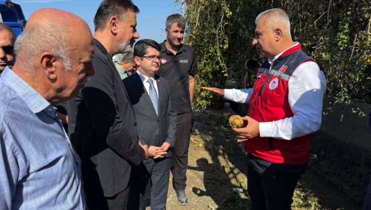 Arsuz’da Afet Sonrası Hasar Tespit Seferberliği