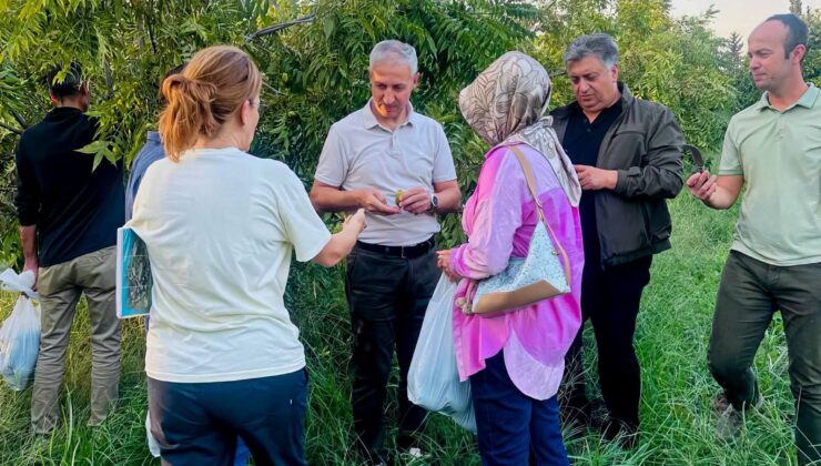 Depremden Etkilenen MKÜ Tarımsal Araştırma Alanı Yeniden İnşa Edilecek