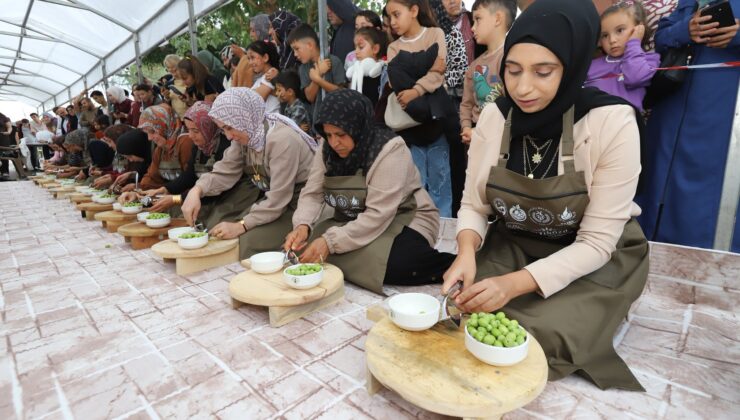 Zeytin Çekirdeği Çıkarma Yarışması Renkli Görüntülere Sahne Oldu