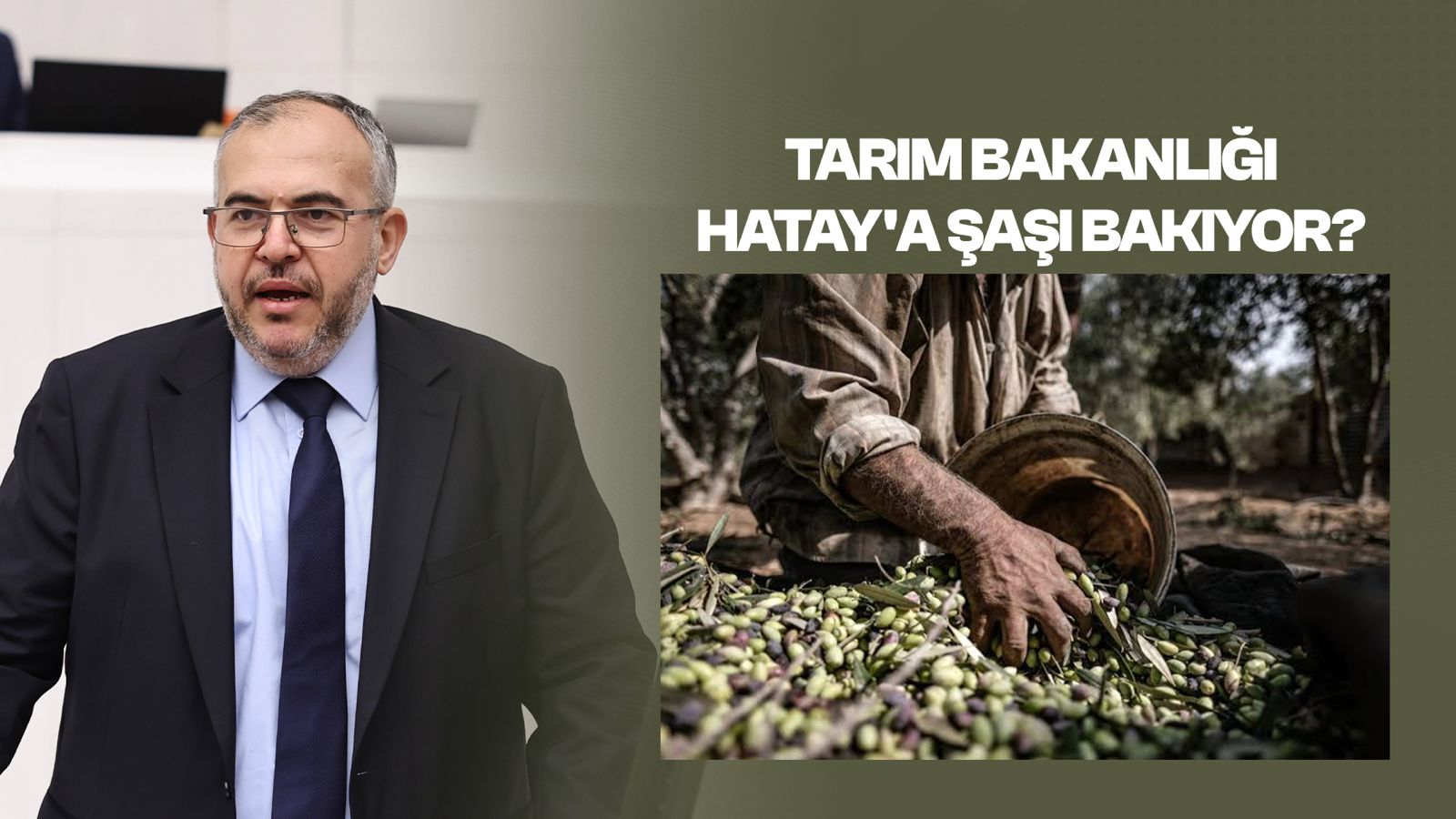 ÇALIŞKAN: “HATAYLI ZEYTİN ÜRETİCİSİ PERİŞAN”