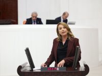 Nermin Yıldırım Kara’dan Fon Vurgunu Tepkisi: “Sandıkta Hesabını Soracağız”