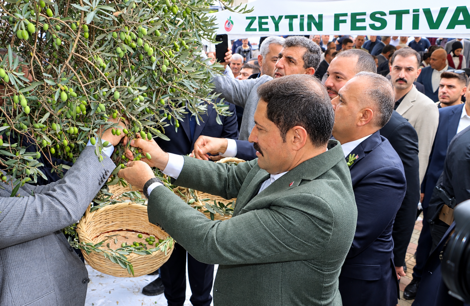 Zeytin Festivali’nde Hasat Töreni