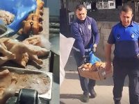 15 Kilo Bozuk Tavuğu Vatandaşa Yedireceklerdi!
