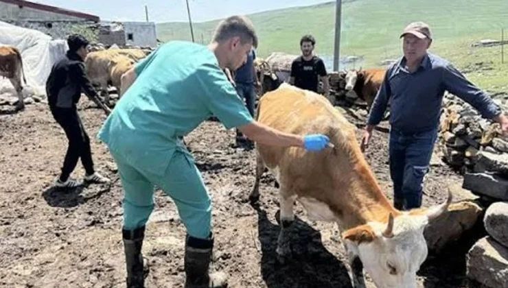 Üzümdalı Hayvan Pazarı Tedbiren Kapatıldı!